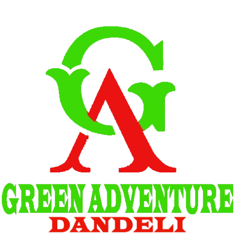 DANDELIGREENADVENTURE